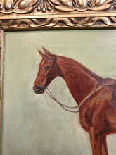 Lade das Bild in den Galerie-Viewer, Pferde Porträt Öl auf Leinwand signiert E. Steinacker oder A.Steinacker