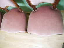 Lade das Bild in den Galerie-Viewer, 4 Rokoko Stühle Nussbaum massiv geschnitzt Schellack um 1860