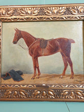 Lade das Bild in den Galerie-Viewer, Pferde Porträt Öl auf Leinwand signiert E. Steinacker oder A.Steinacker
