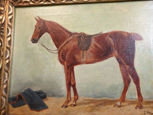 Lade das Bild in den Galerie-Viewer, Pferde Porträt Öl auf Leinwand signiert E. Steinacker oder A.Steinacker

